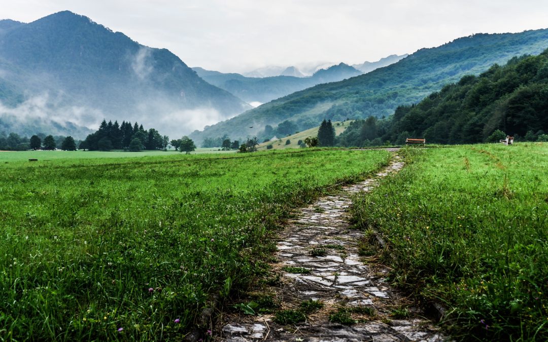 Bist du fit für Wanderferien🥾?