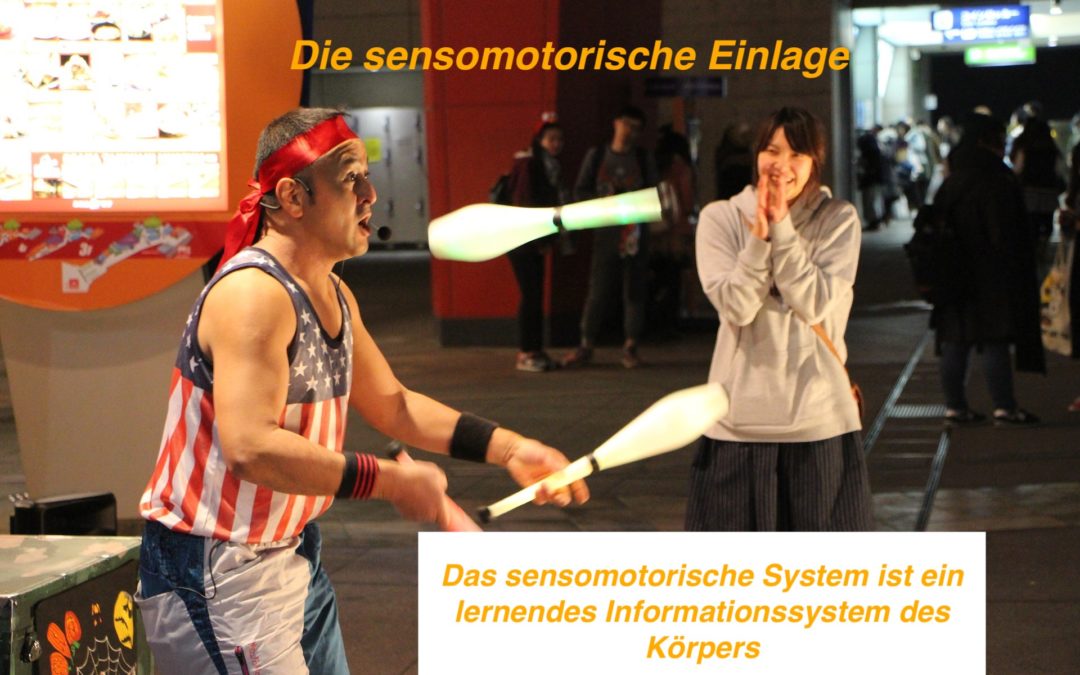Das sensomotorische System ist ein lernendes Informationssystem des Körpers
